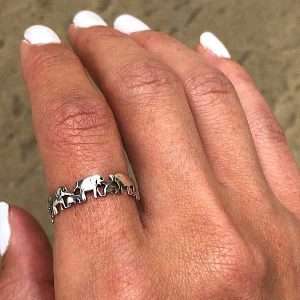 family of elephants ring