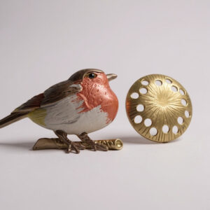 red robin and magnet