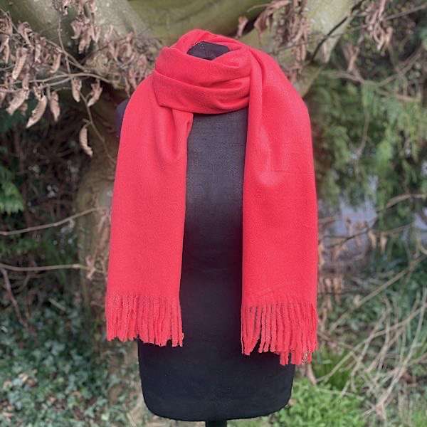 vibrant tassel edged scarf